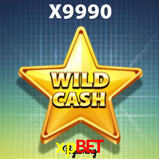 A Experiência Imersiva dos Cassinos Ao Vivo no xpbet